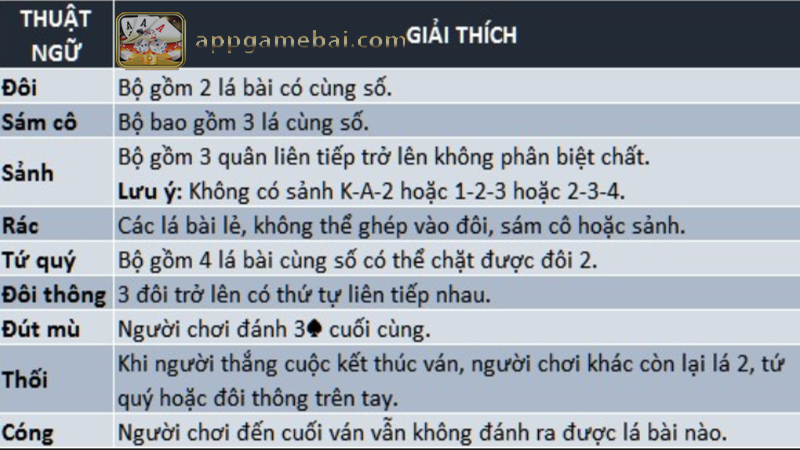 Thuật ngữ tiến lên miền Nam